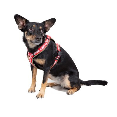 Alpha Industries Dog RBF Harness Hundegeschirr dark olive