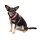 Alpha Industries Dog RBF Harness Hundegeschirr dark olive