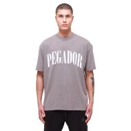 Pegador Herren Cali Oversized T-Shirt washed frost grey