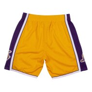 Mitchell &amp; Ness HWC Swingman Shorts Los Angeles Lakers 2009-10 purple/yellow