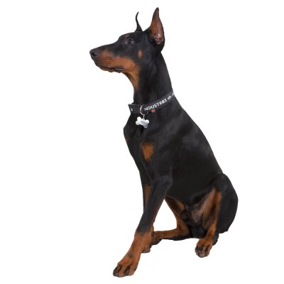 Alpha Industries AI Dog-Tag Collar Hundehalsband black/grey