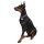 Alpha Industries AI Dog-Tag Collar Hundehalsband black/grey M