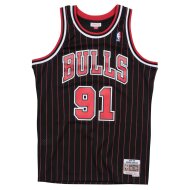 Mitchell &amp; Ness HWC Swingman Jersey 2.0 Chicago Bulls 1995-96 D. Rodman #91| NBA