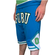 FUBU Herren Shorts College Mesh blue/white/green