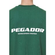 Pegador Herren T-Shirt Colne Logo Oversized vintage washed british green gum