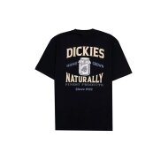 Dickies Herren T-Shirt Elliston SS black