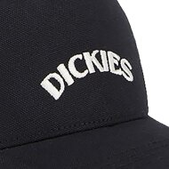 Dickies Trucker Cap Shawsville black