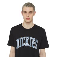Dickies Herren T-Shirt Aitkin black/coronet blue